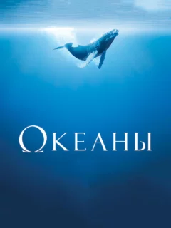 Океаны